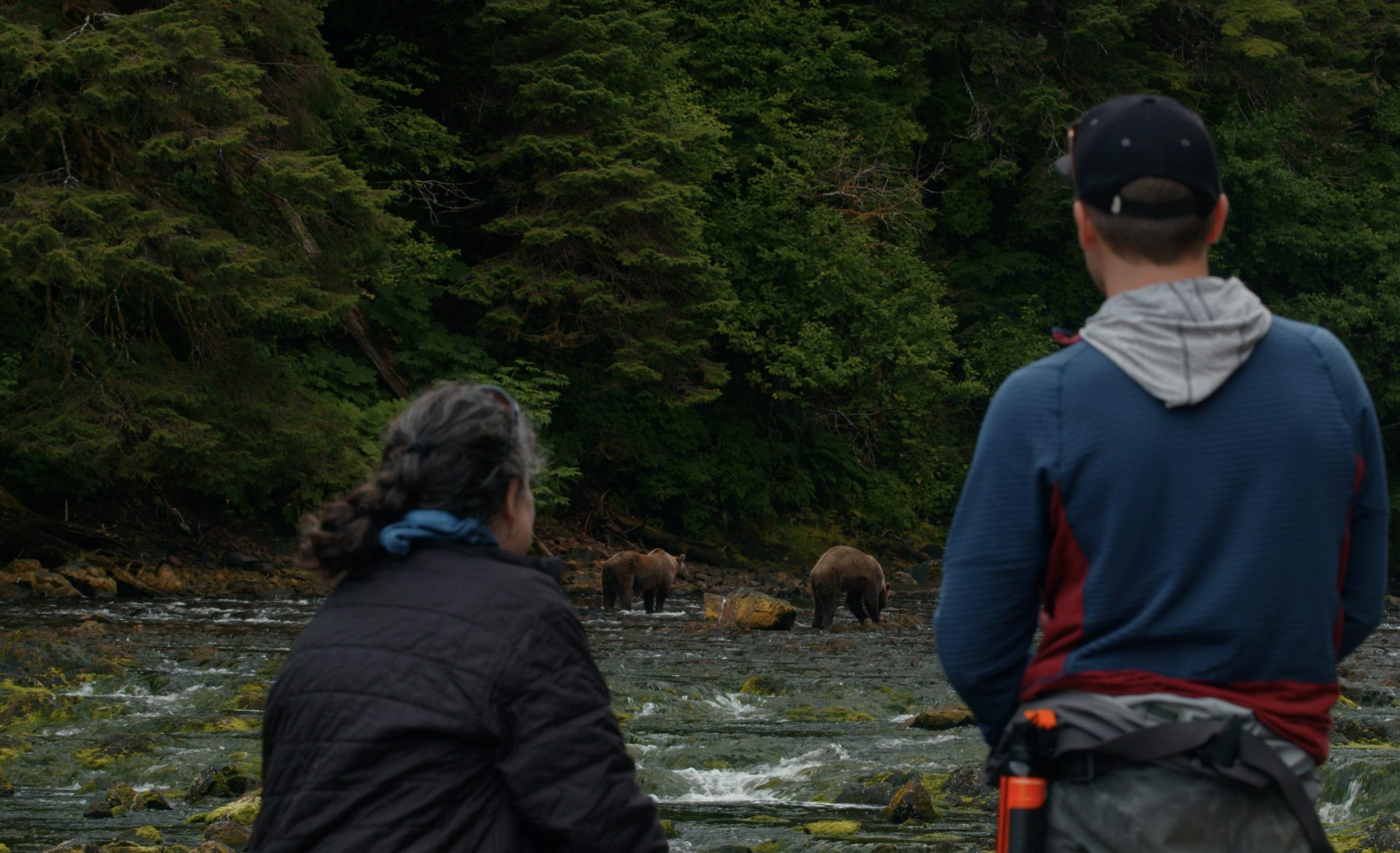 Guide and guest watching two brown bears at Waterfall Creek during a private bear viewing tour from Juneau.